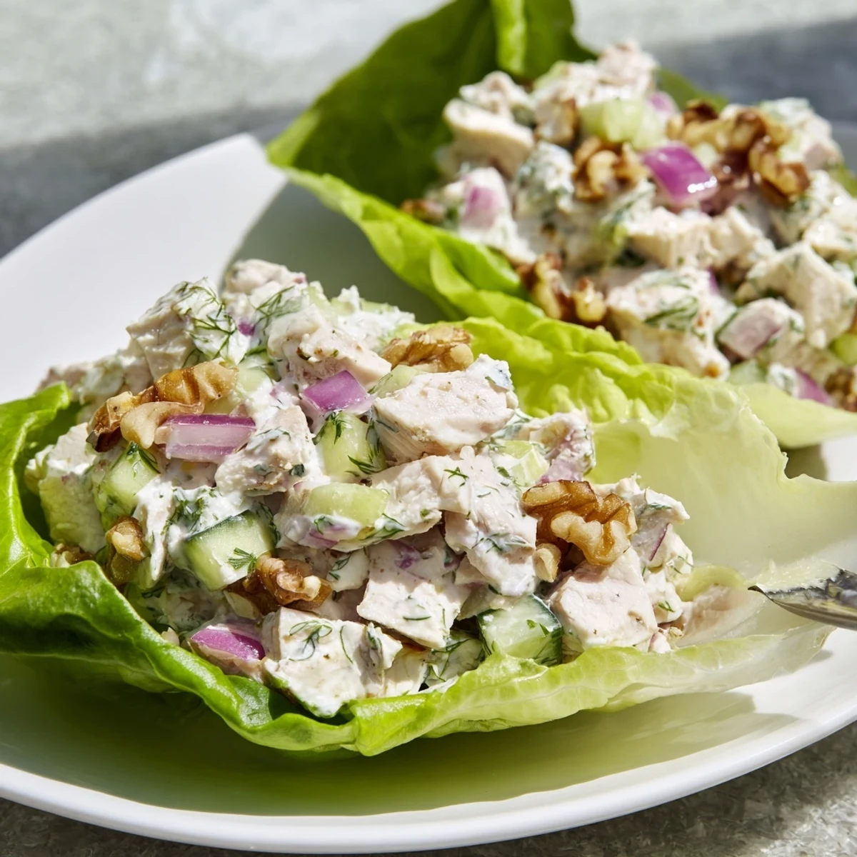 Crisp butter lettuce cups filled with creamy cottage cheese lemon thyme chicken salad