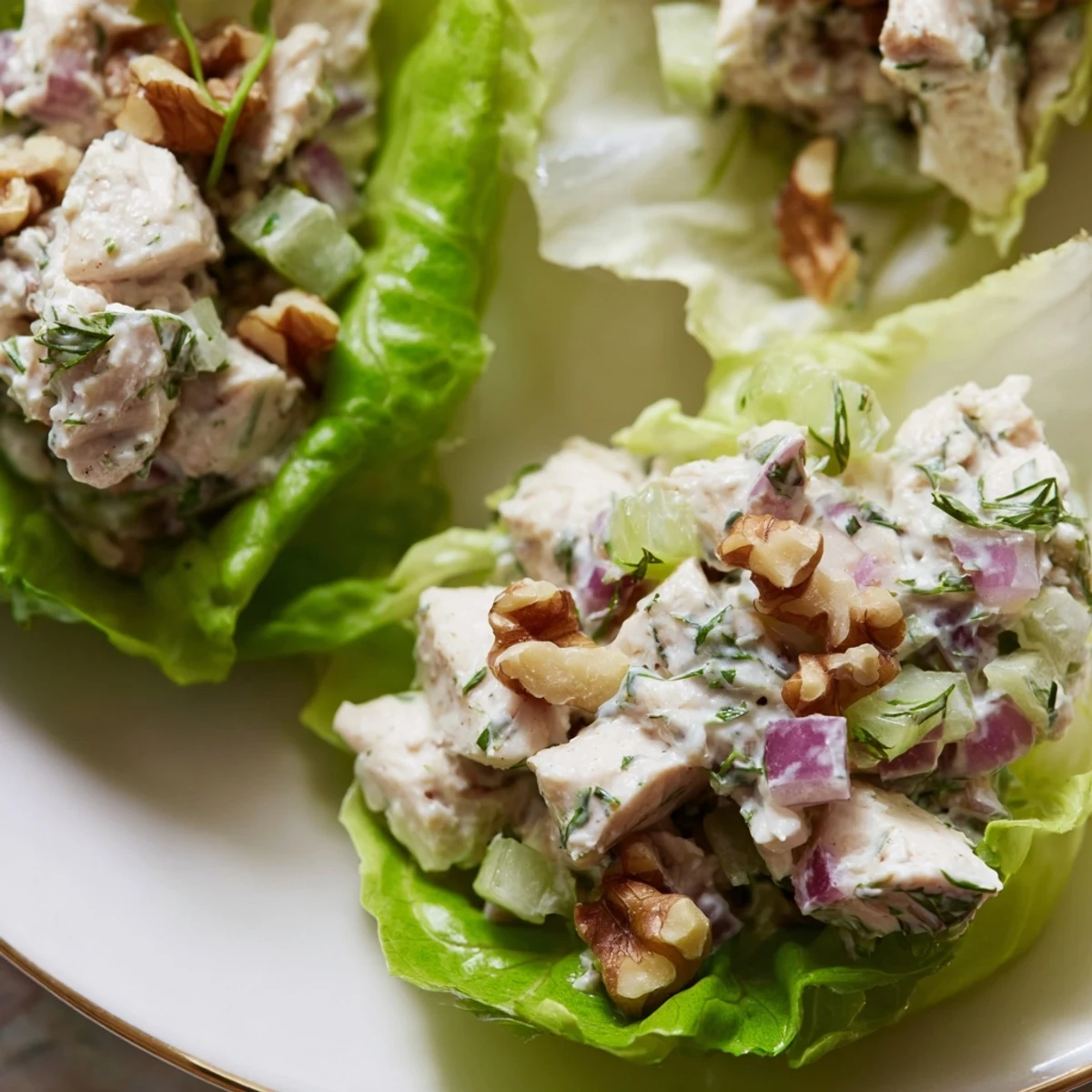 Fresh chicken salad with lemon zest and cottage cheese served in lettuce leaves