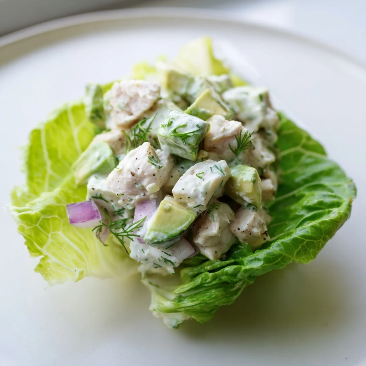 Cottage Cheese Avocado Herb Chicken Salad Cups nestled in crisp butter lettuce  